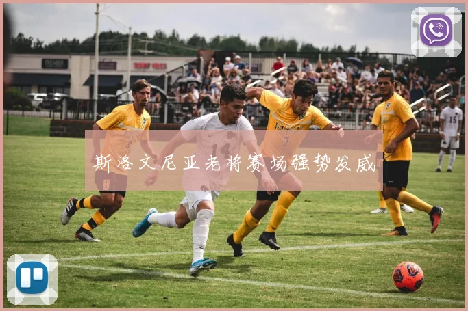 斯洛文尼亚老将赛场强势发威