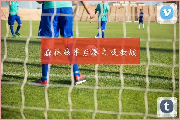 森林狼季后赛之夜激战