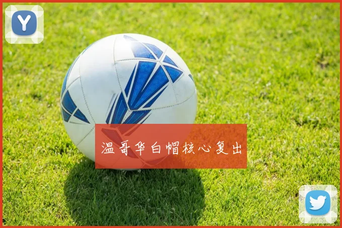 温哥华白帽核心复出