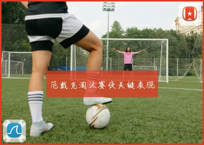 范戴克淘汰赛夜关键表现