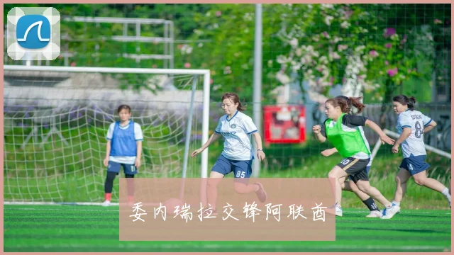 委内瑞拉交锋阿联酋