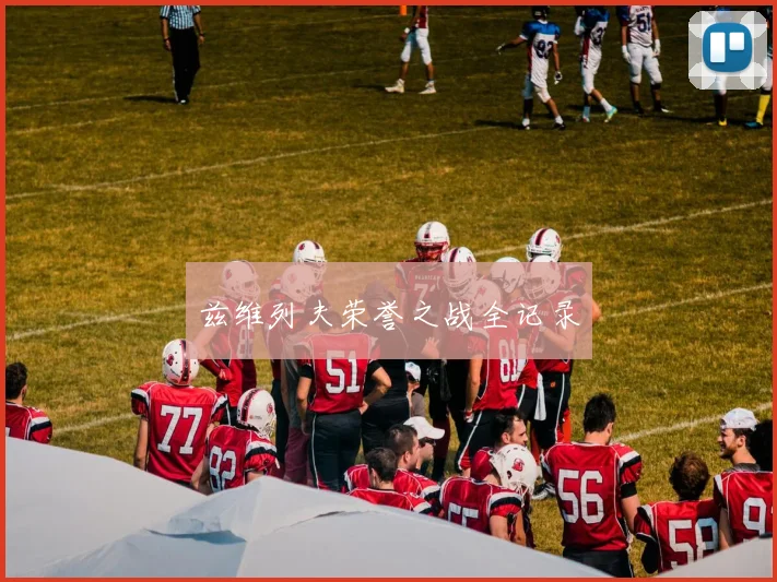 兹维列夫荣誉之战全记录