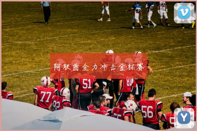 阿联酋全力冲击金杯赛