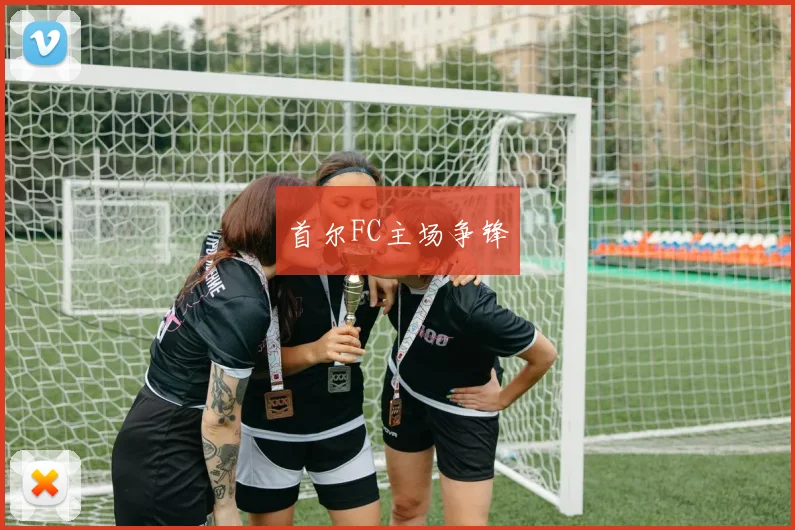 首尔FC主场争锋