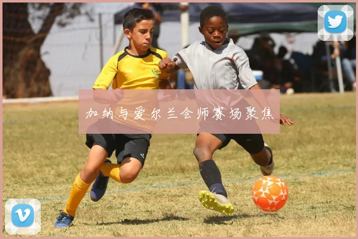 加纳与爱尔兰会师赛场聚焦