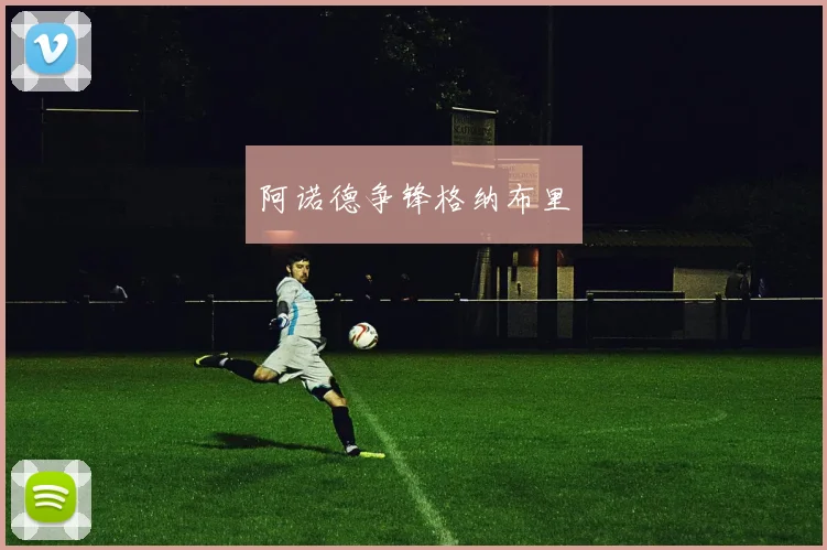阿诺德争锋格纳布里
