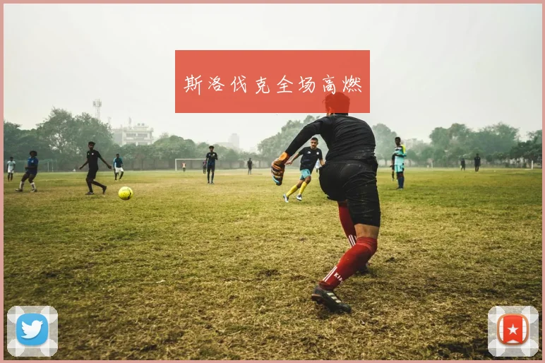 斯洛伐克全场高燃