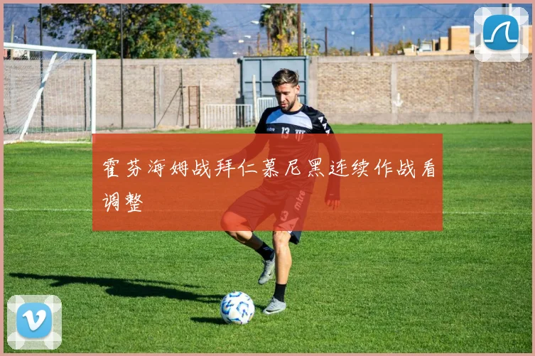 霍芬海姆战拜仁慕尼黑连续作战看调整
