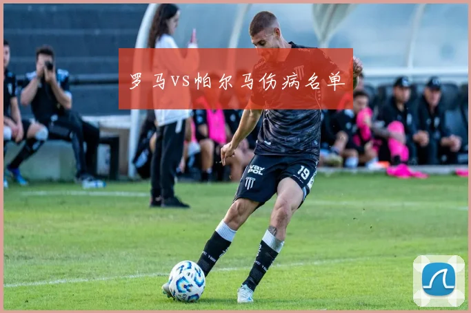 罗马vs帕尔马伤病名单