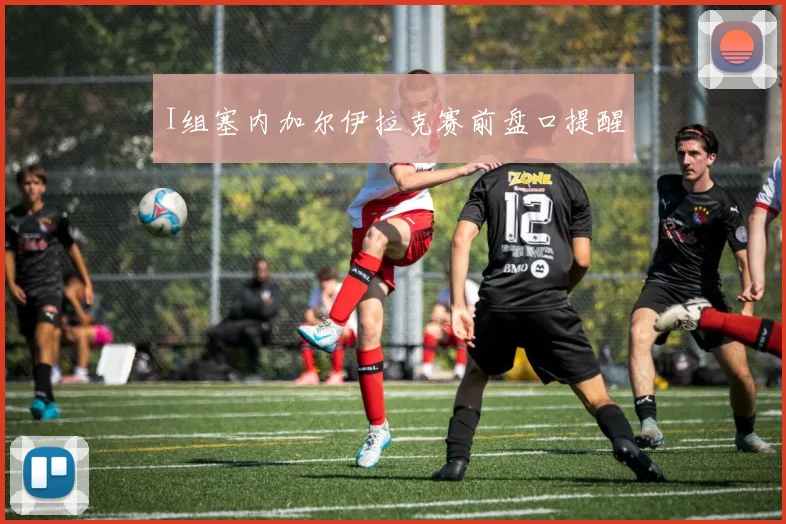 I组塞内加尔伊拉克赛前盘口提醒