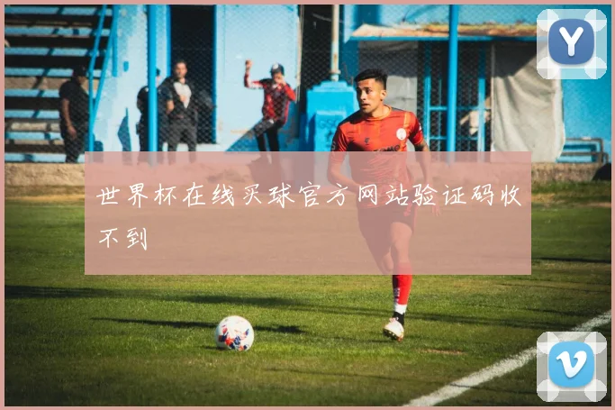 世界杯在线买球官方网站验证码收不到