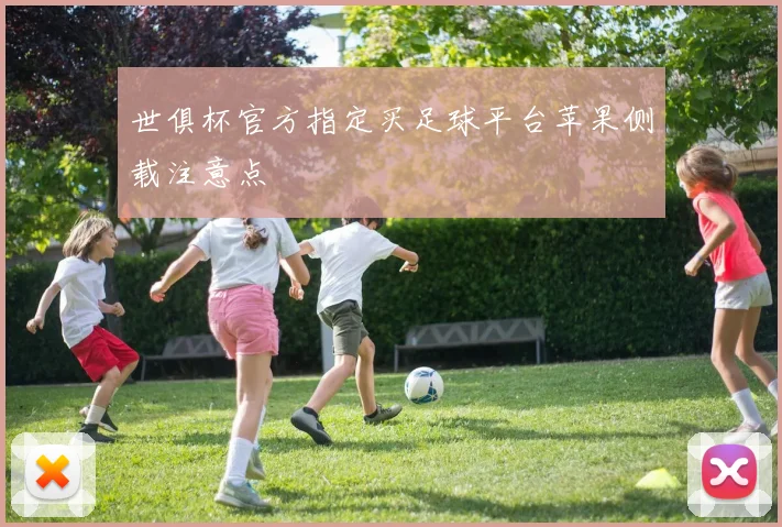 世俱杯官方指定买足球平台苹果侧载注意点