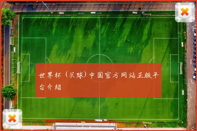 世界杯 (买球)中国官方网站正版平台介绍